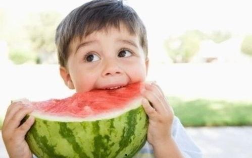 吃瓜搞笑系统娱乐圈小说,吃瓜搞笑，笑料百出