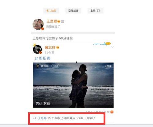 评论娱乐吃瓜怎么说,揭秘明星幕后故事